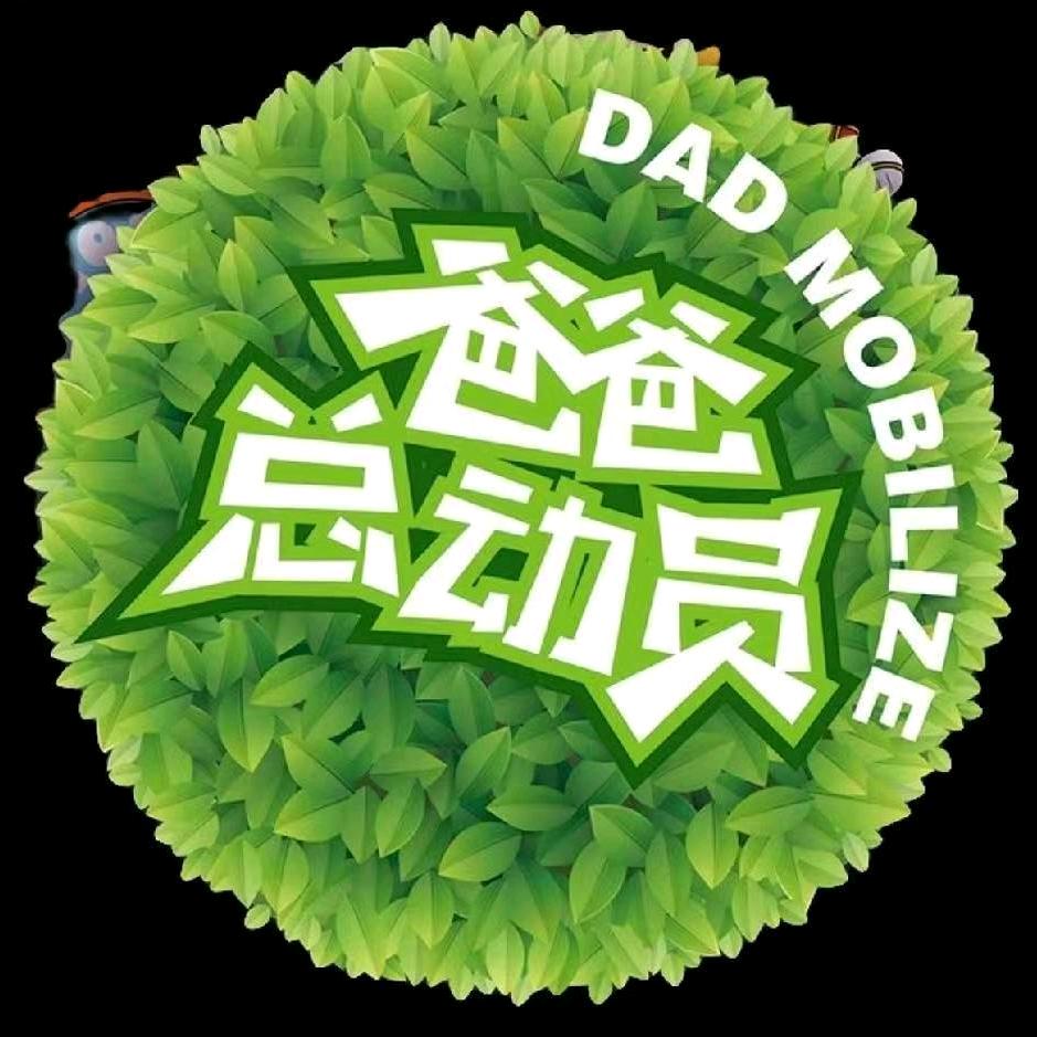爸爸总动员