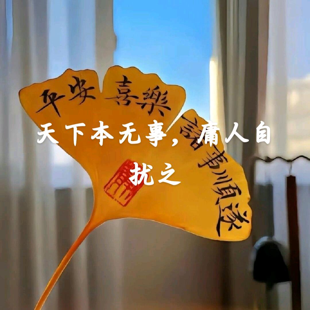 一只可爱的小团团