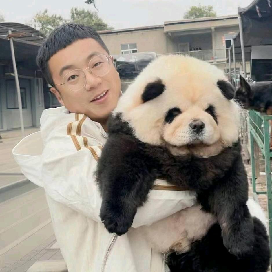 小杨宠物心选