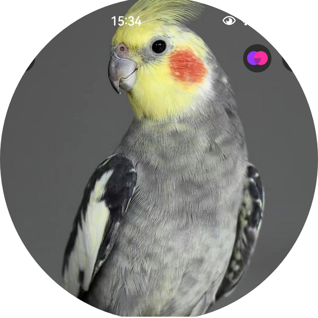 黑夜不懂黎明的黑