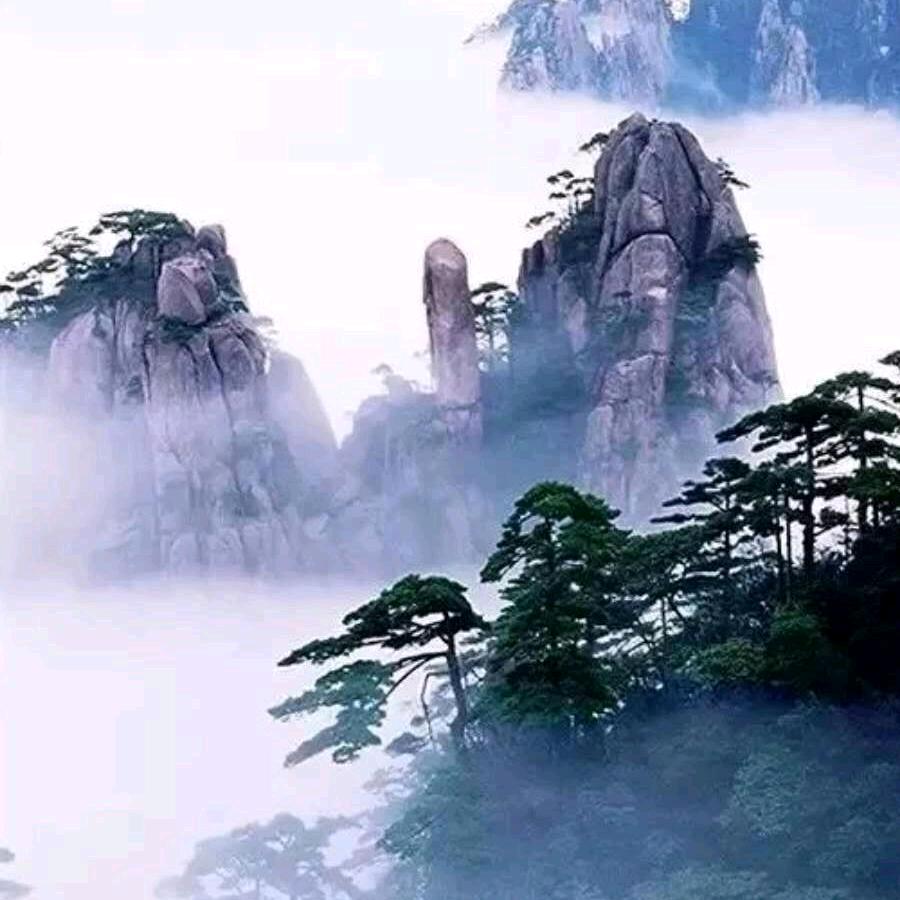 绿色记忆