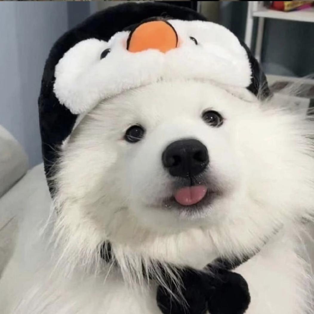 想