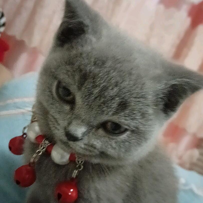 @小丫丫李雨欣(●—●)