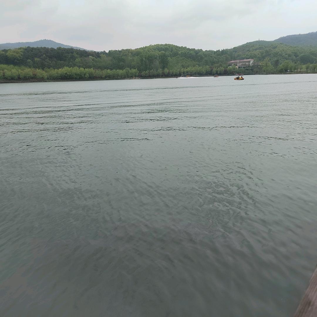 坤坤那么努力（熬夜版）