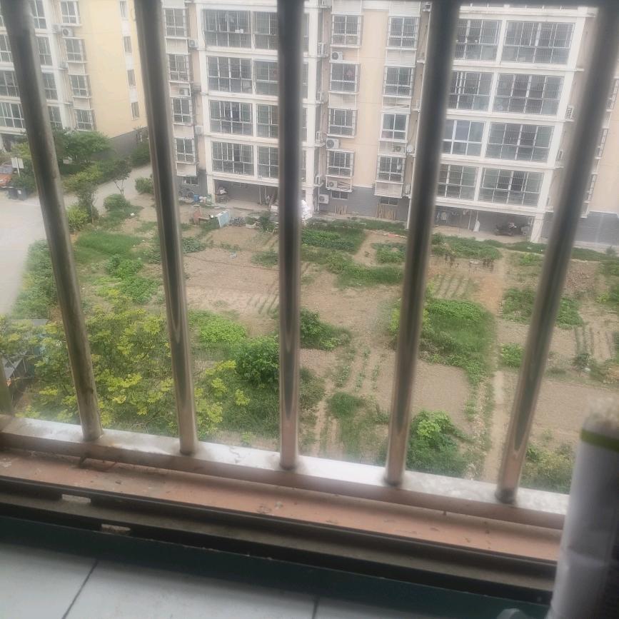 努力哥