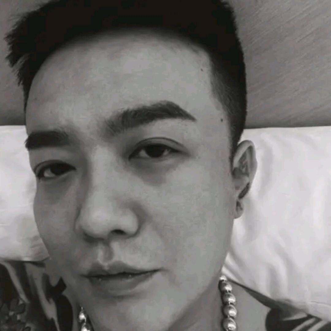 龙桑