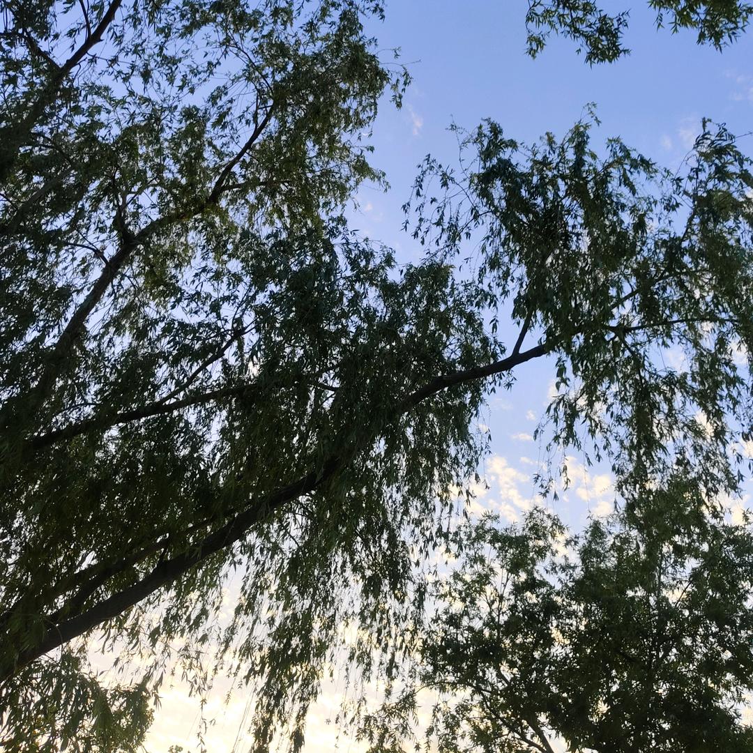 上海浦东 数控车床加工