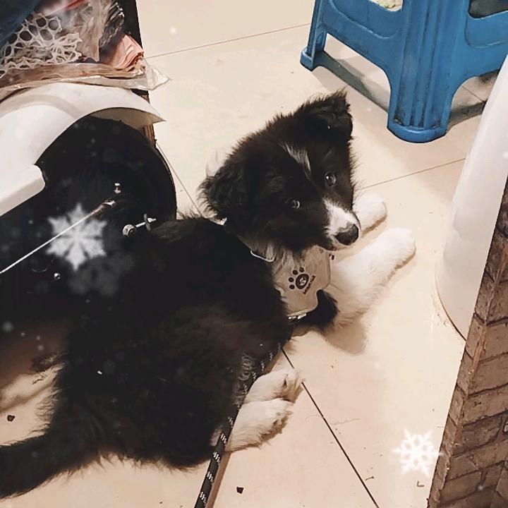 无锡市佳林花行