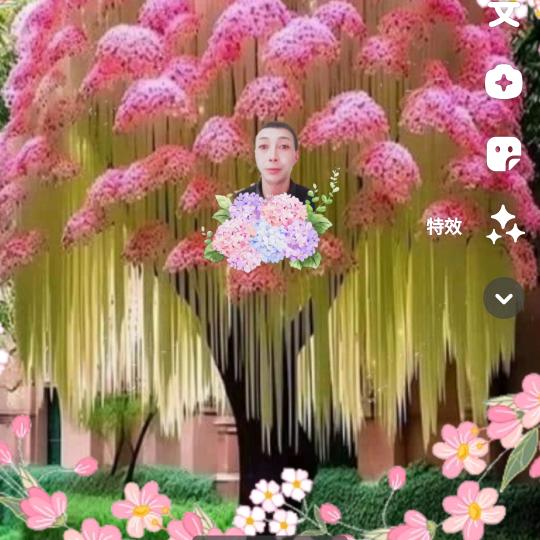 一人不幸福 ，孫