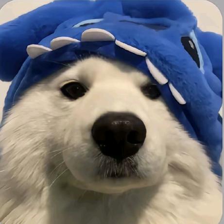 04顶级喂鱼大师