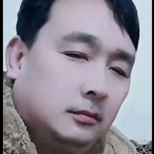520寻爱