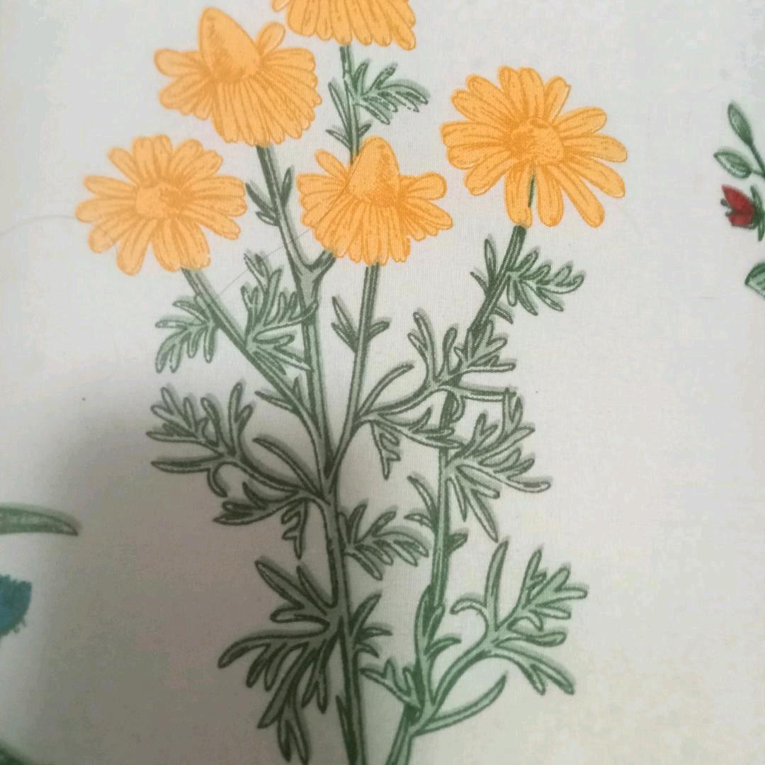 烧饼哥。收学员