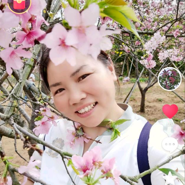 木棉花开