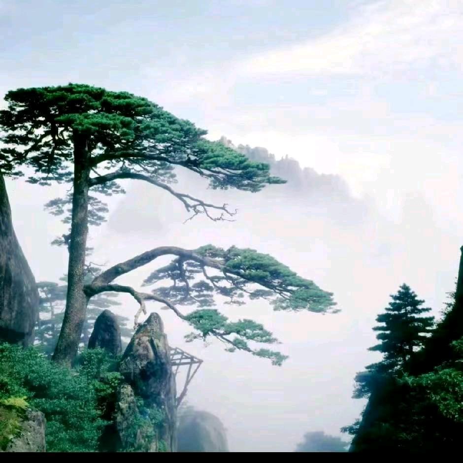 毕竟我是你红哥