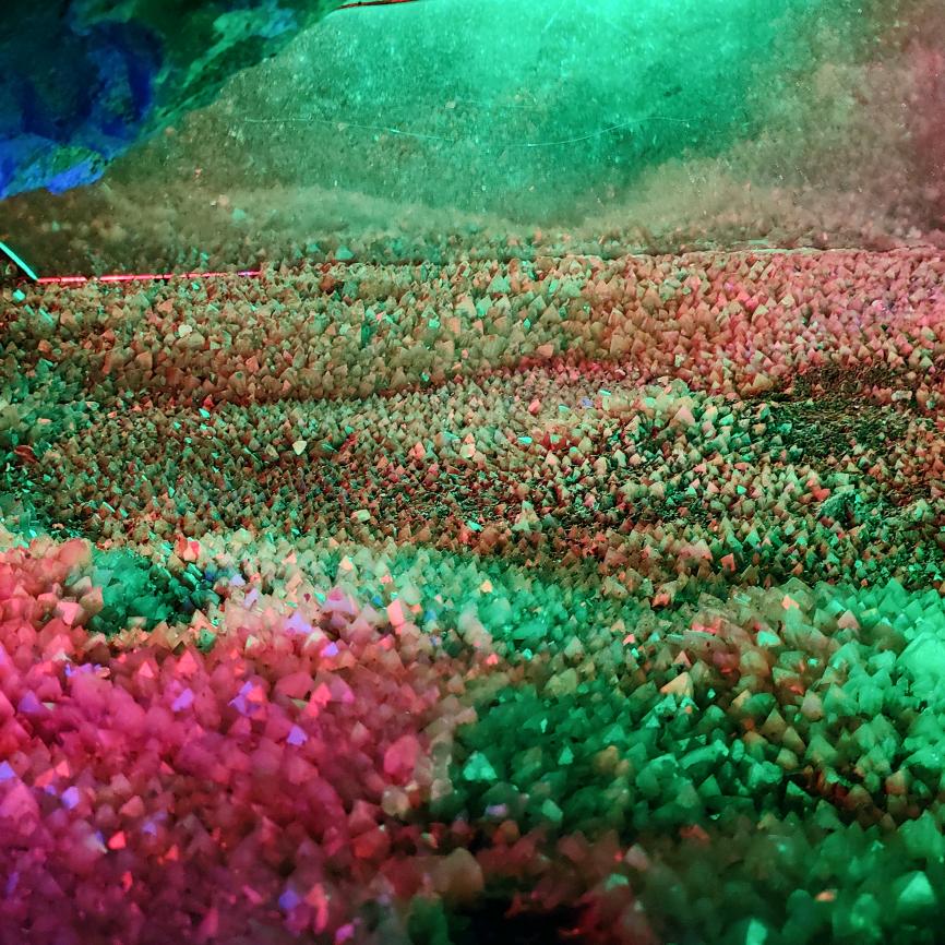 符家的姑娘就得幸福🥰🥰