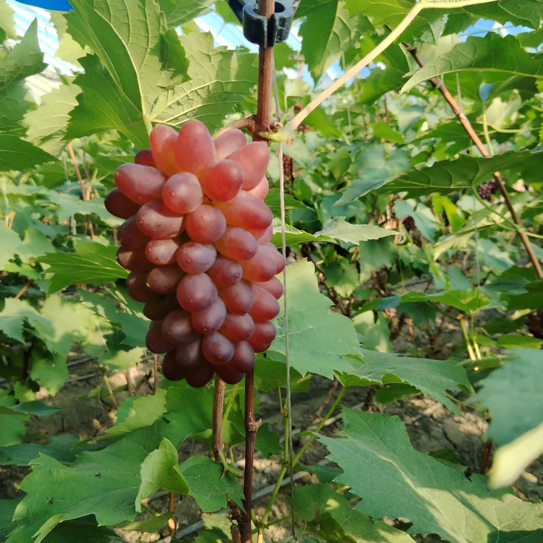 小小记录生活呦