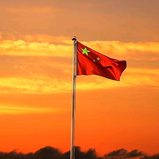 种花家小白兔
