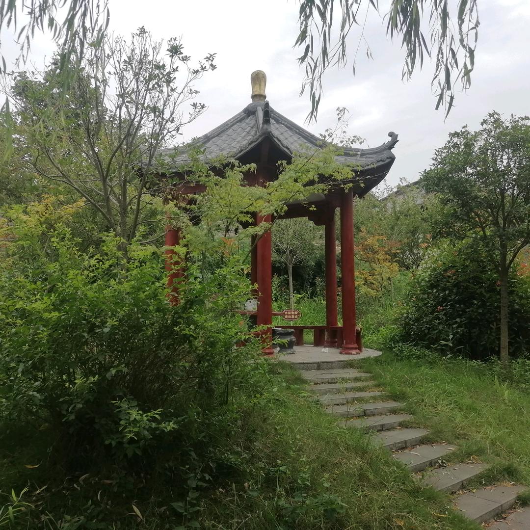 2025天天发财，好运来
