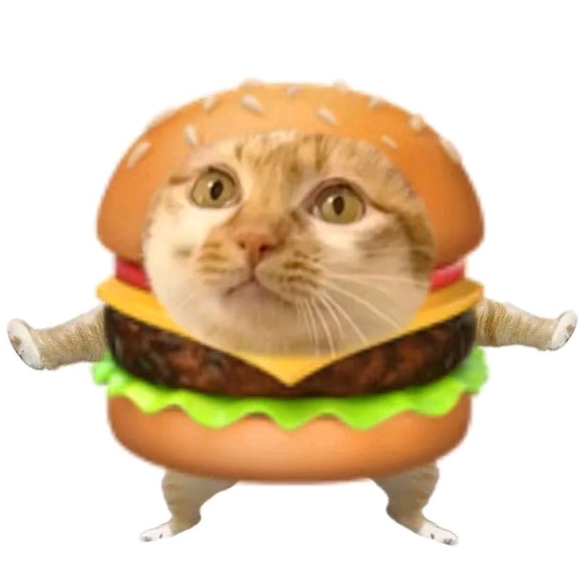 汉堡猫