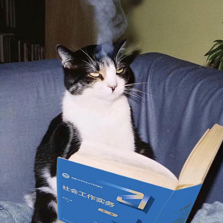 猫meme胖虎