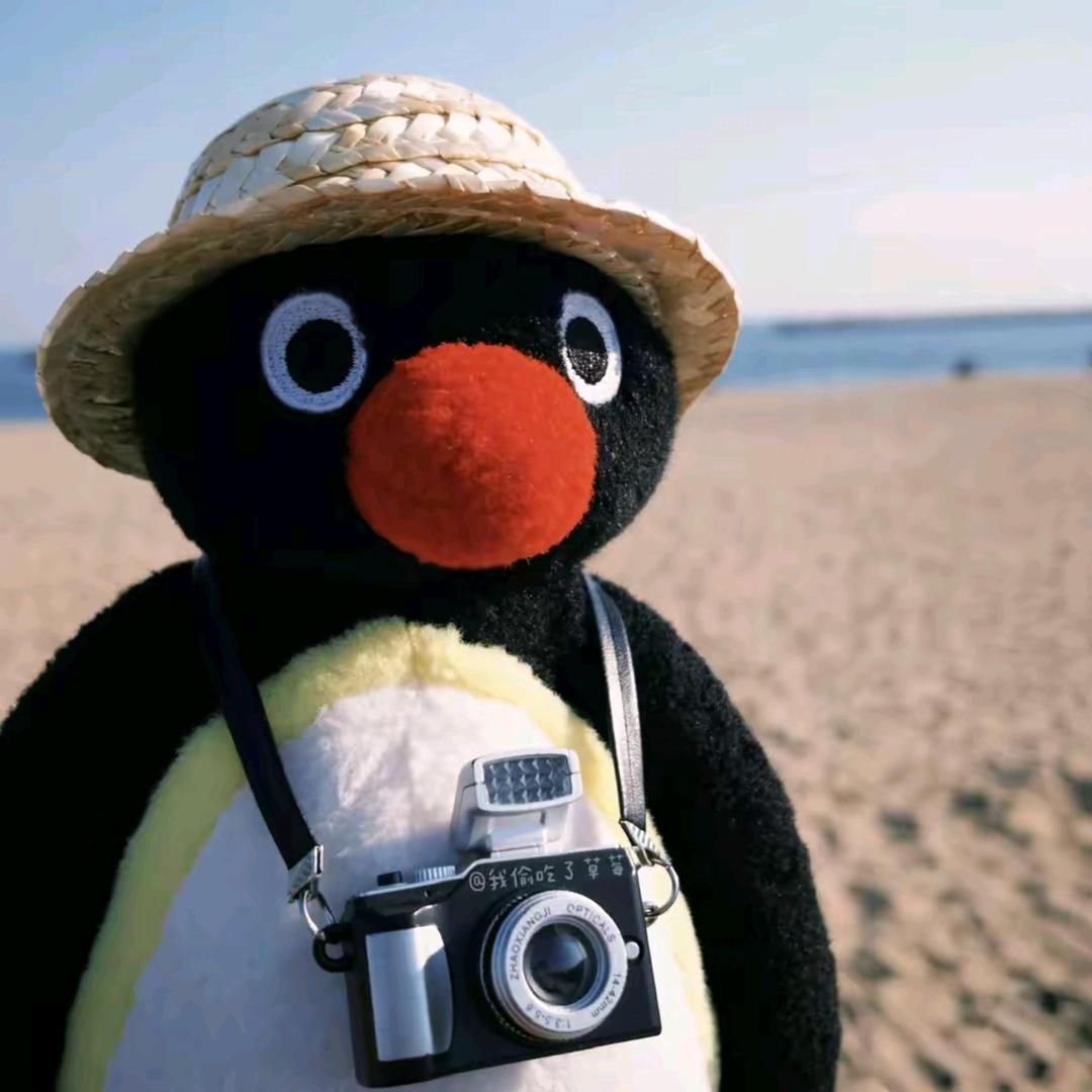 不会拍照的小迪📷