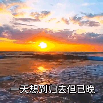 夕阳之哥