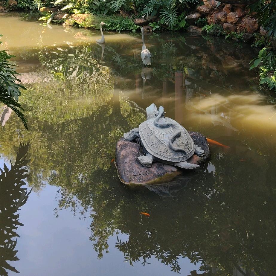 封沁