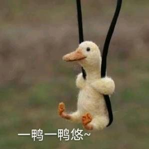 勤快搬运工