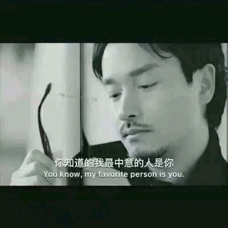 一天两趟上海滩