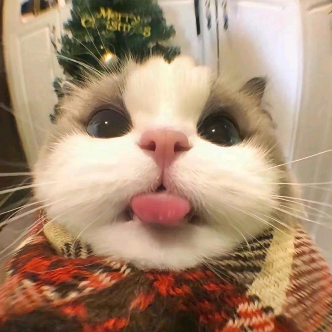 辉辉
