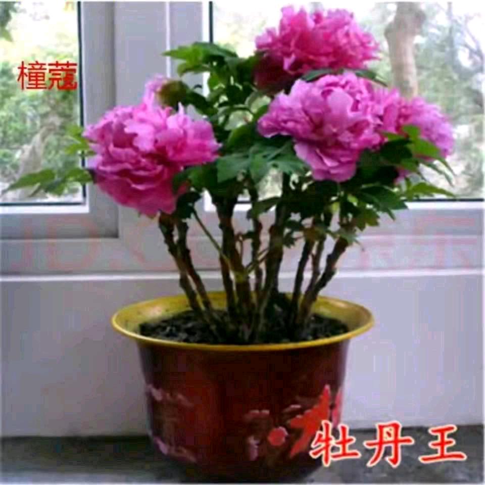 liuyuchao686