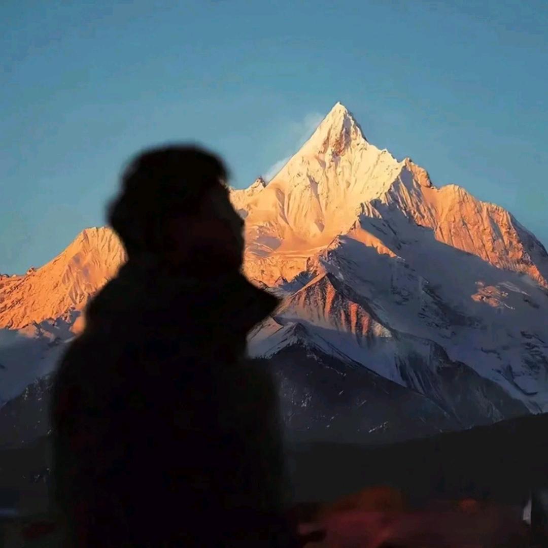 吃土豆的马铃薯