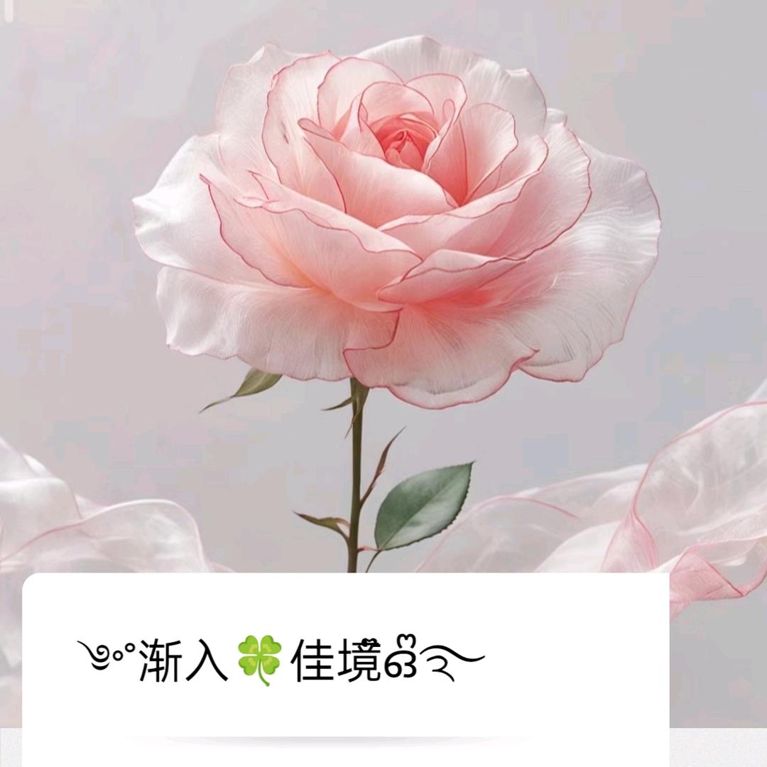 好运𝟏𝟎𝟎💯⭒