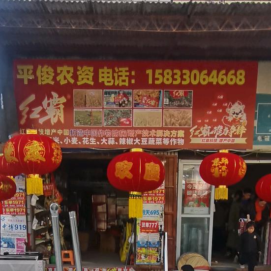 平俊农资