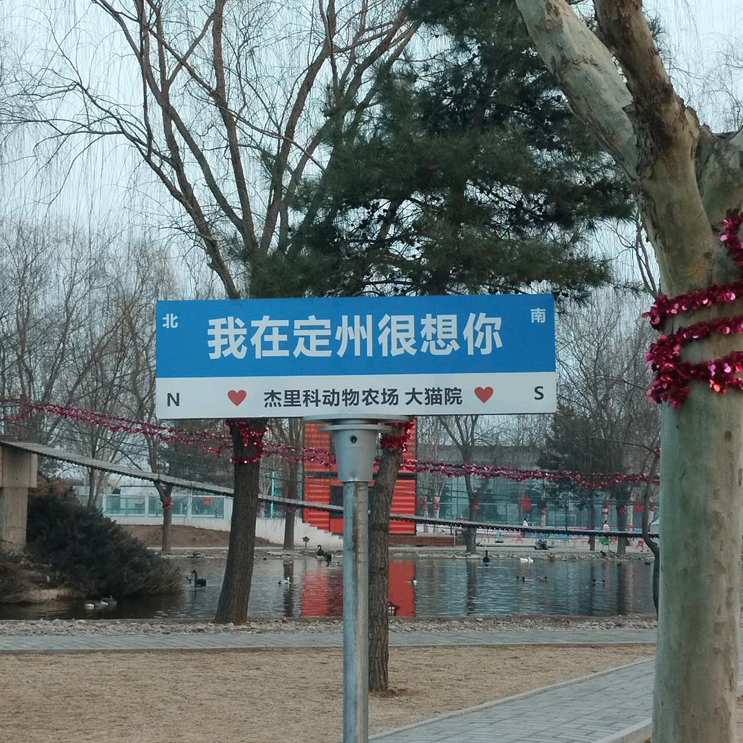 胖宝儿