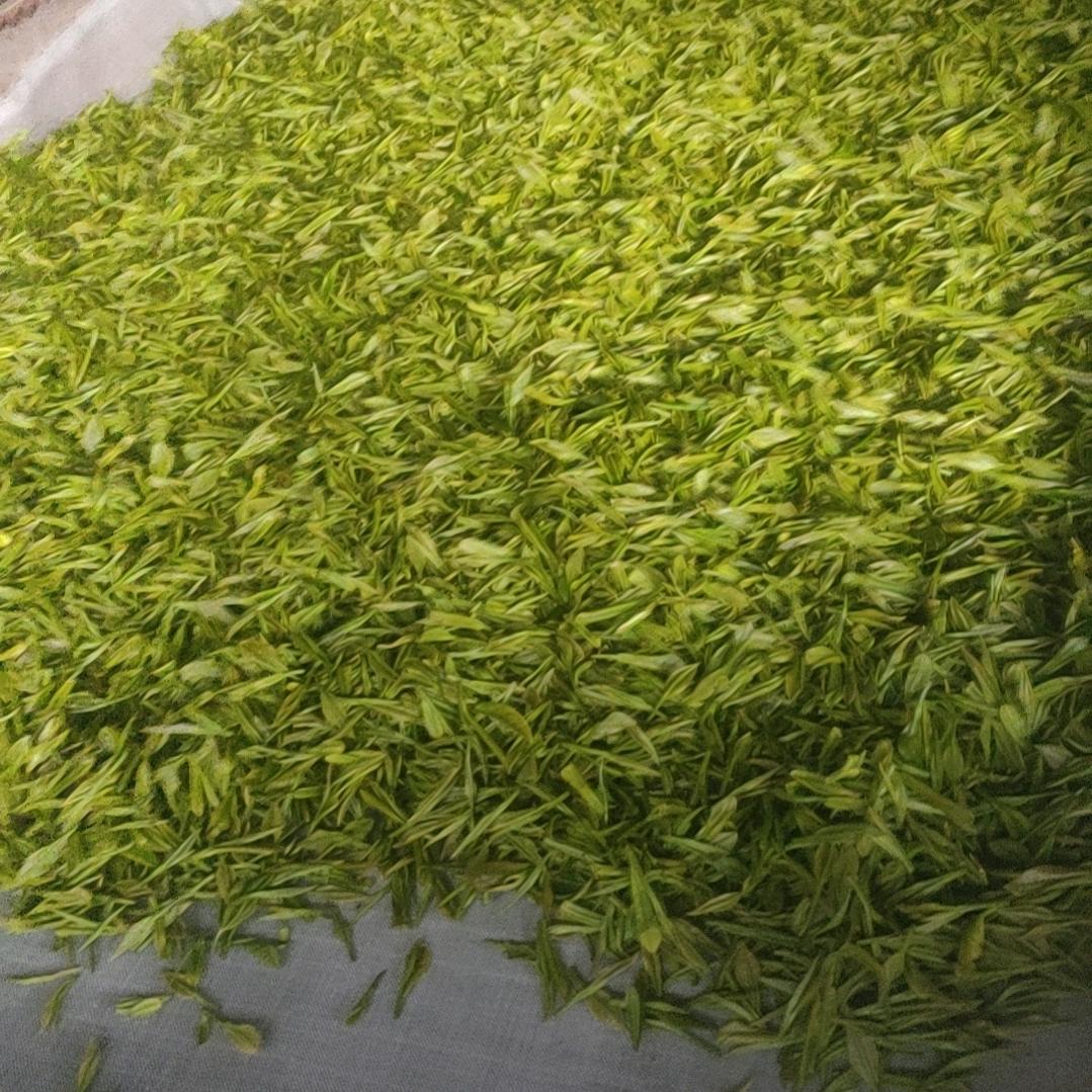 做茶人