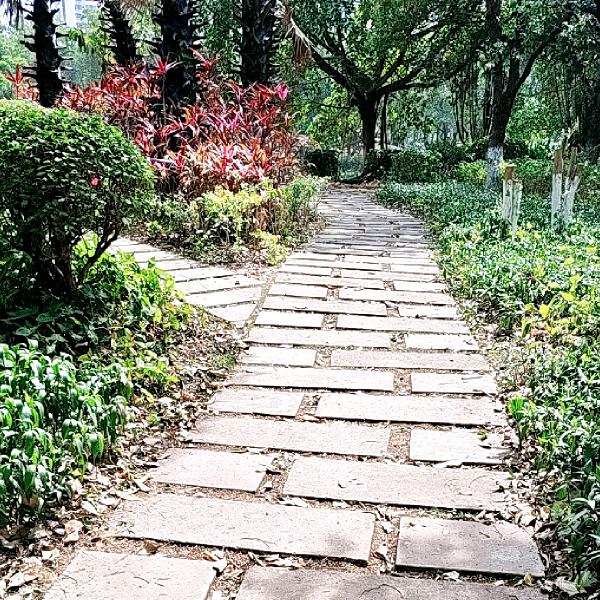 我   就是你认识的那个我  潇洒