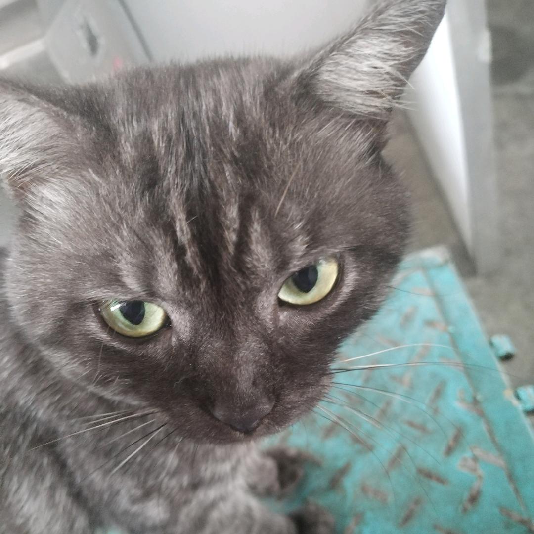 勿念