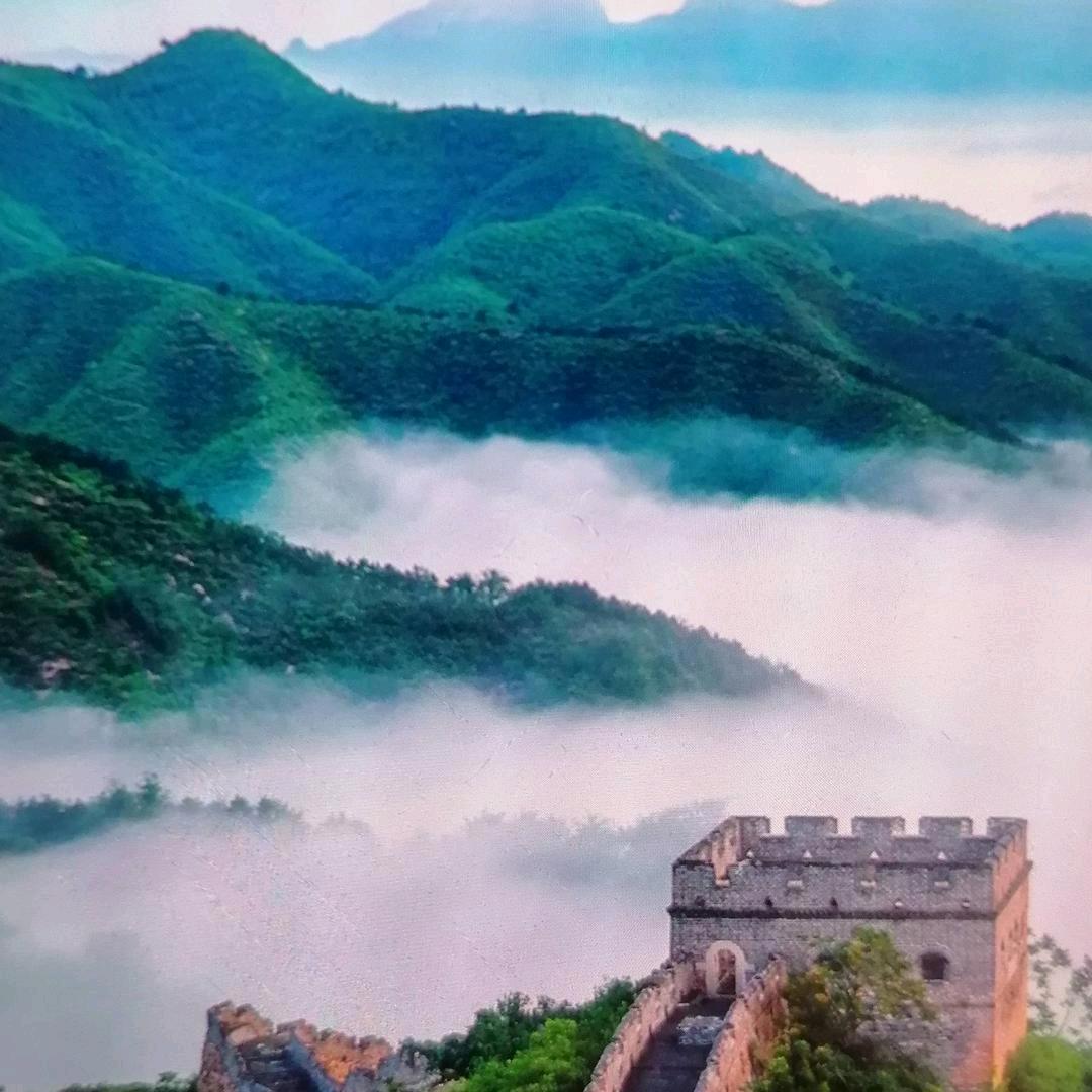 💥⚡️子航🔥