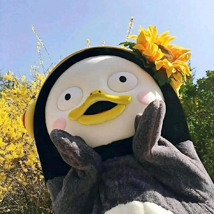 静女其姝的姝❣️