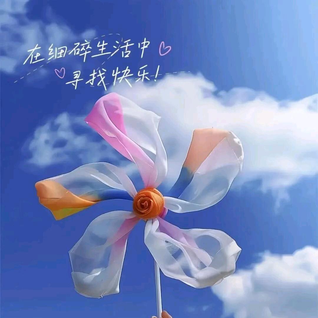 🐾家有俩宝🌺