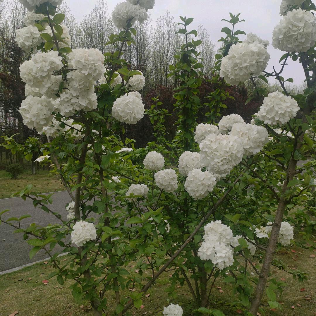 海边浪花