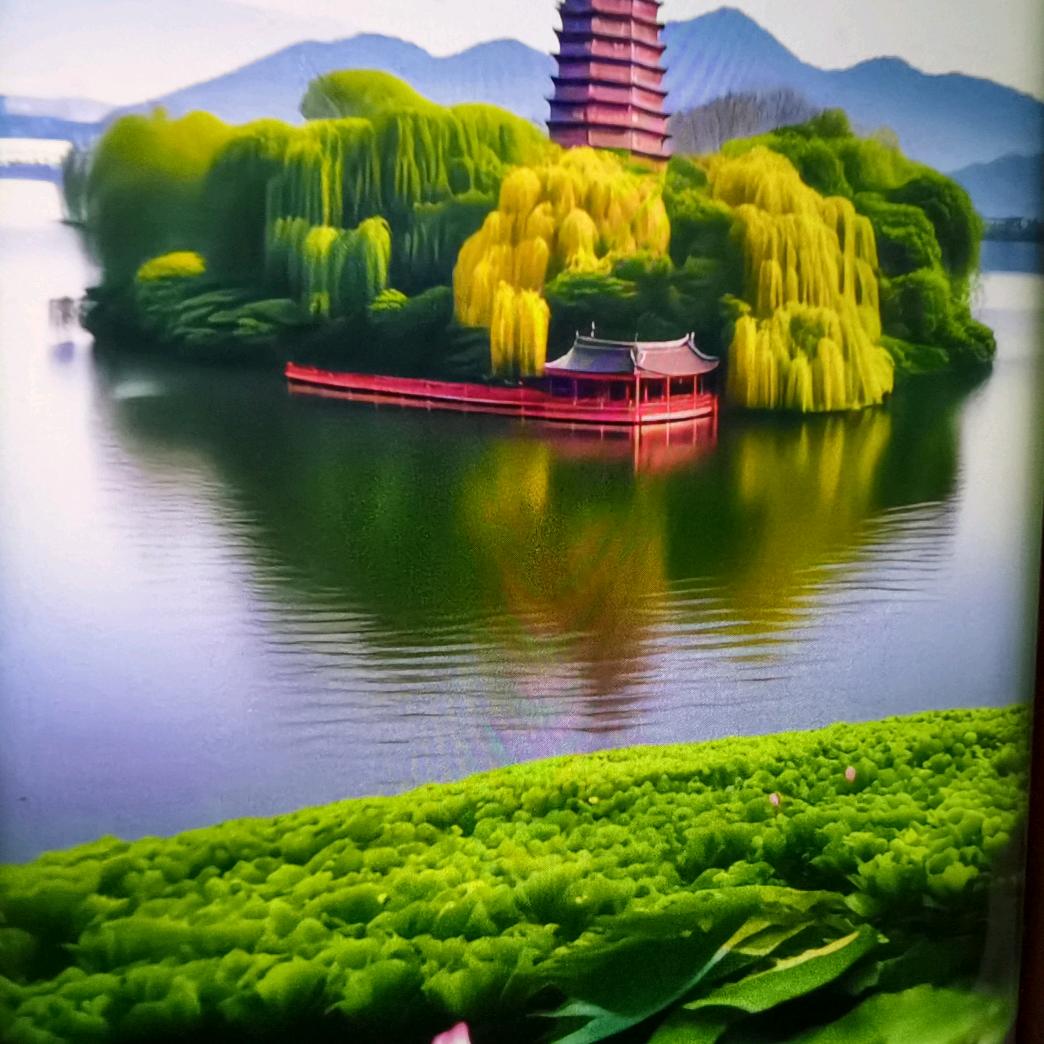 🌹珍惜当下🌹