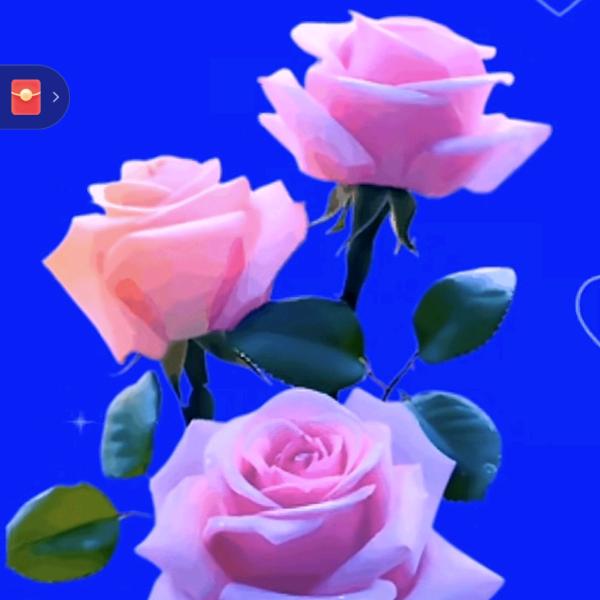 花🌸灯🌸向🌻日🌻葵🌻🌻🌻