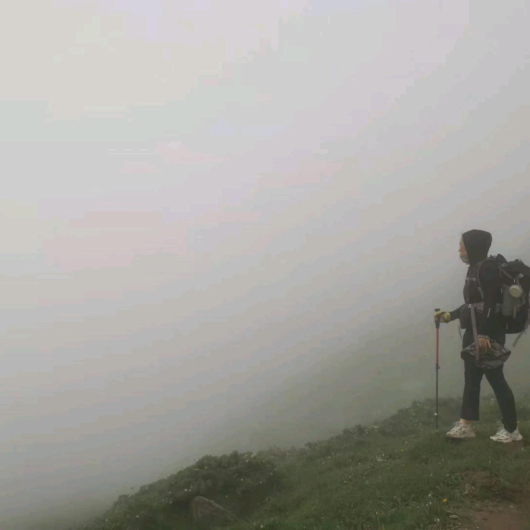 暴躁毛阿姨（货拉拉）