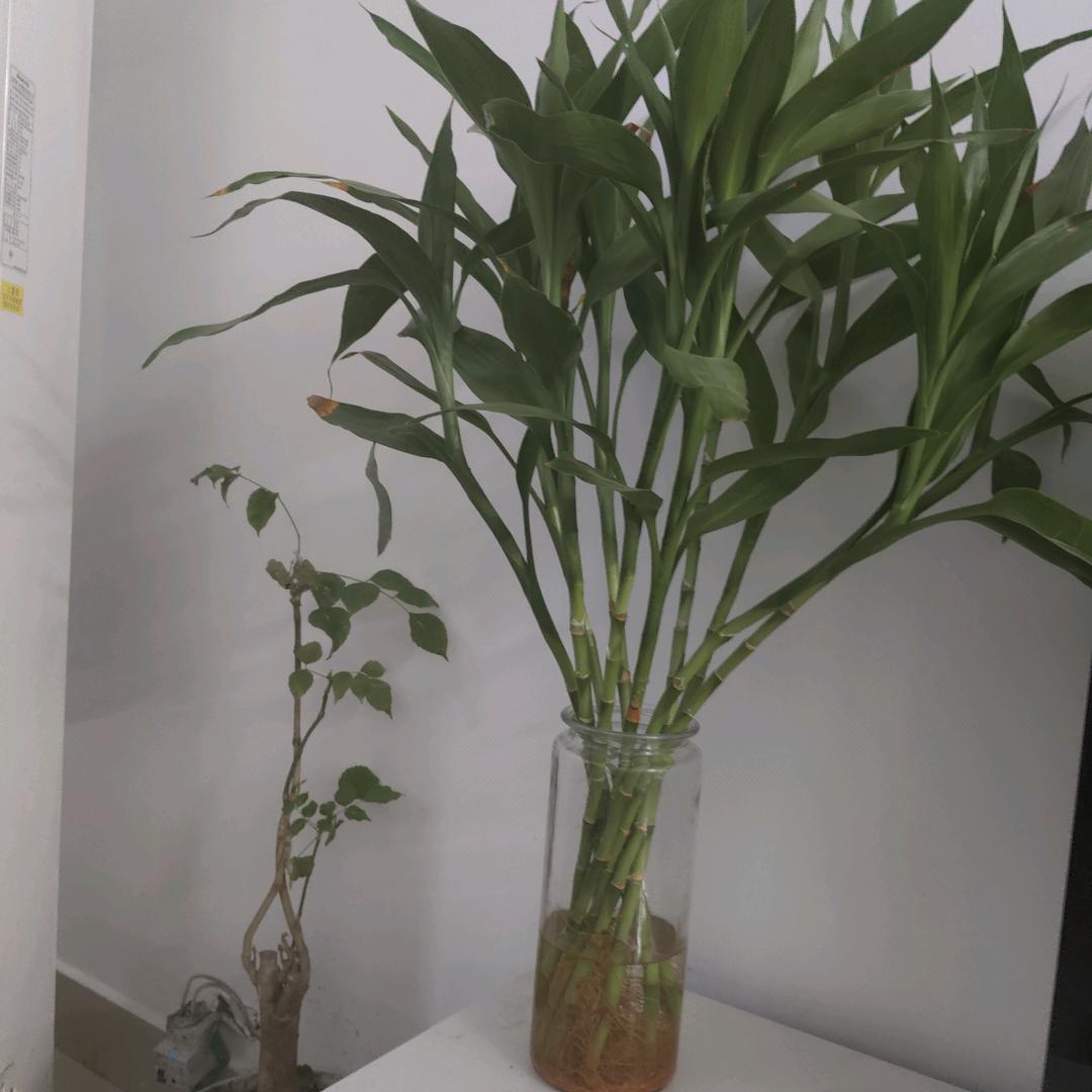 一帆风顺，〈〈拒私聊〉〉