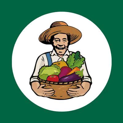 优菜良品运营专员—露露