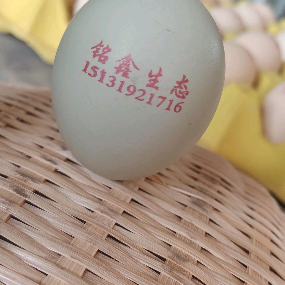 卖笨鸡蛋的一枚糙人