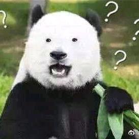 听说馒头能减肥头像