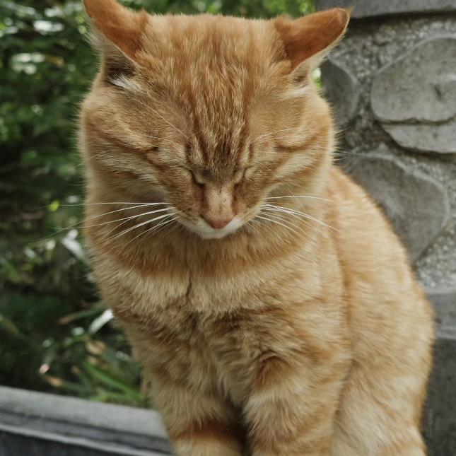 ಇ᭄劉ཽ࿆ྃ࿐໑